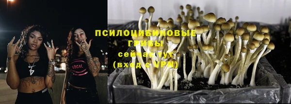 спайс Белоозёрский