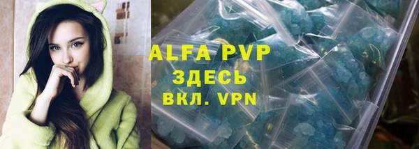 стаф Белокуриха