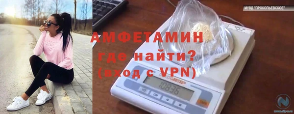 стаф Белокуриха