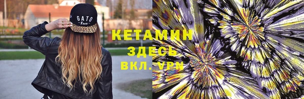 стаф Белокуриха